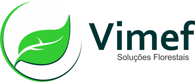 logo vimef