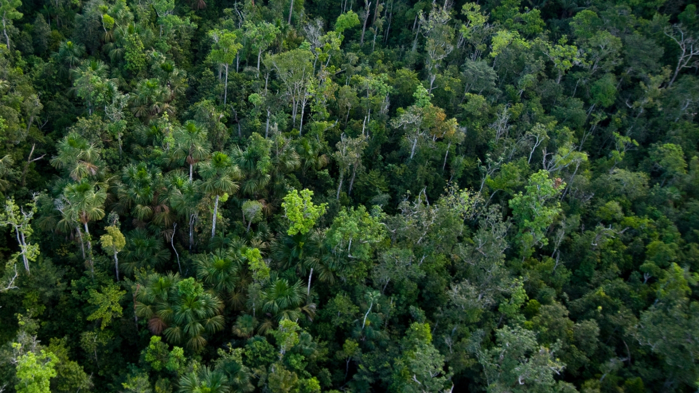 COP30 reforça sustentabilidade e neutralidade de carbono com a APCER Brasil