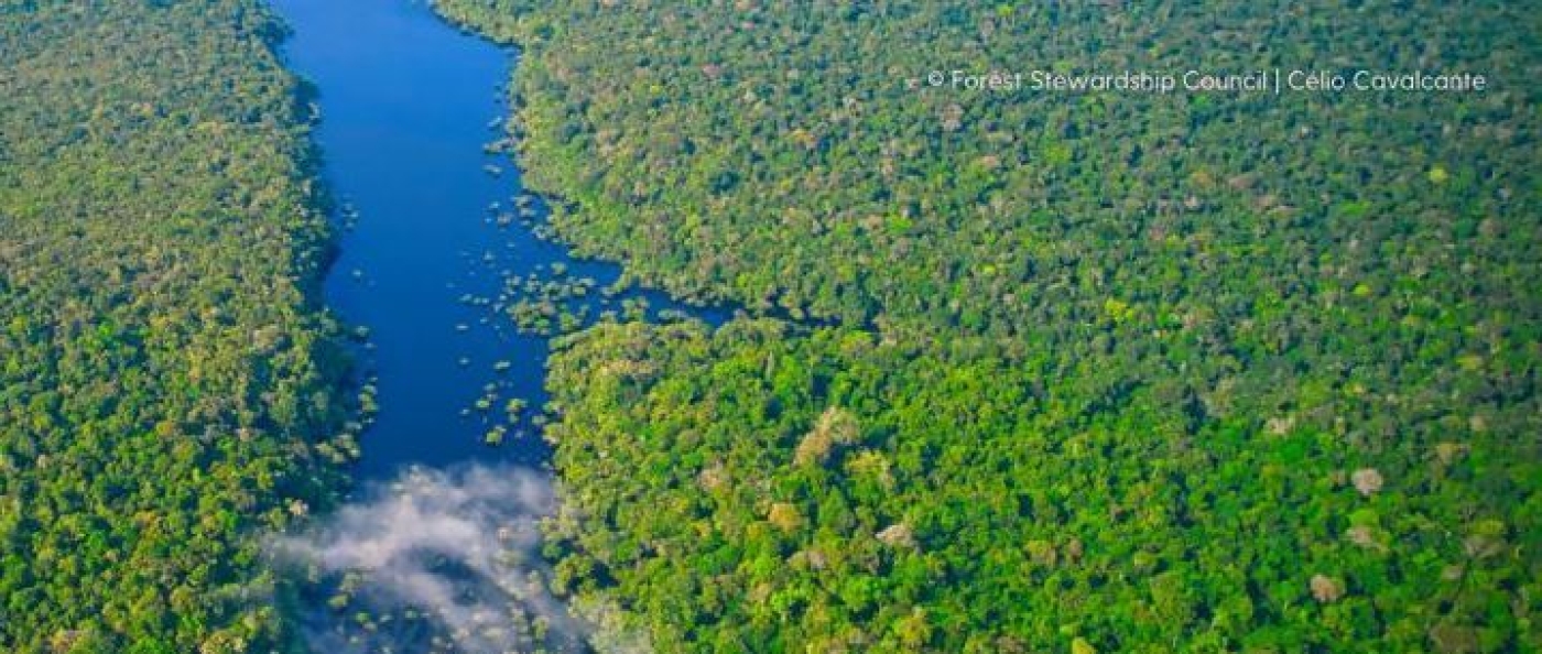 APCER estará presente no FSC® Amazon Business Encounter 2025