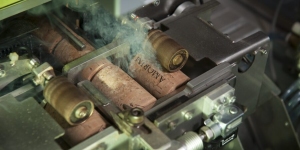 Corticeira Amorim confirma pegada de carbono negativa nas suas rolhas de cortiça