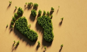 Webinar: Pegada de Carbono: as dúvidas que faltam esclarecer | 3 de outubro, 11h30