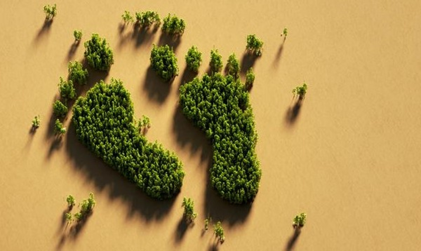 Webinar: Pegada de Carbono: as dúvidas que faltam esclarecer | 3 de outubro, 11h30