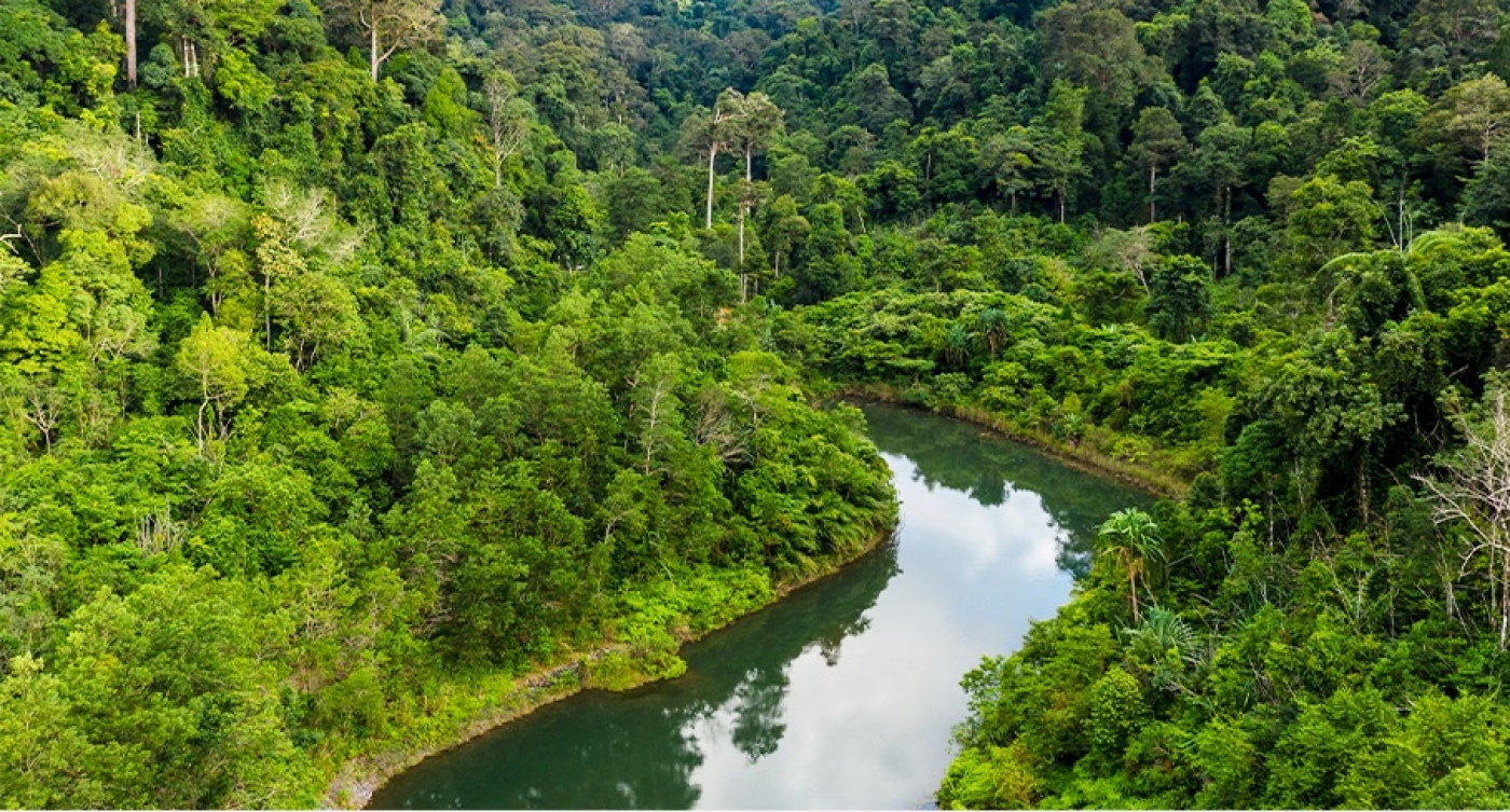 APCER acreditada para realizar auditorías FSC® EUDR