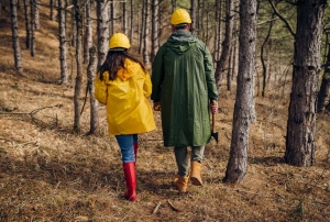 Novos treinamentos FSC® qualificam profissionais para auditorias internas de manejo florestal