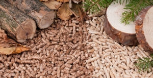 Webinar debate novas exigências para a biomassa sustentável: RED II e RED III em foco | 6 de junho, 10h30