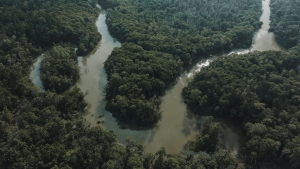 APCER Brasil presente na COP30, reforçando o compromisso com a sustentabilidade global